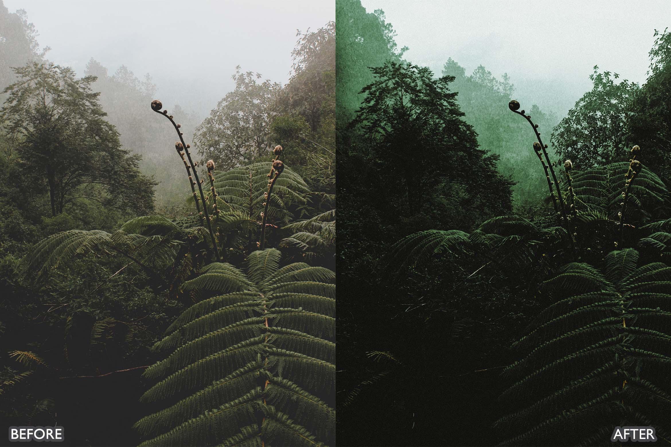 Landscape and Nature Dark Green Lightroom Presets - adobe lightroom presets, Blogger presets, bright presets, Cinematic Presets, HDR presets, instagram presets, landscape presets, lightroom presets, moody presets, Nature presets, presets before and after, professional lightroom presets - aaapresets.com