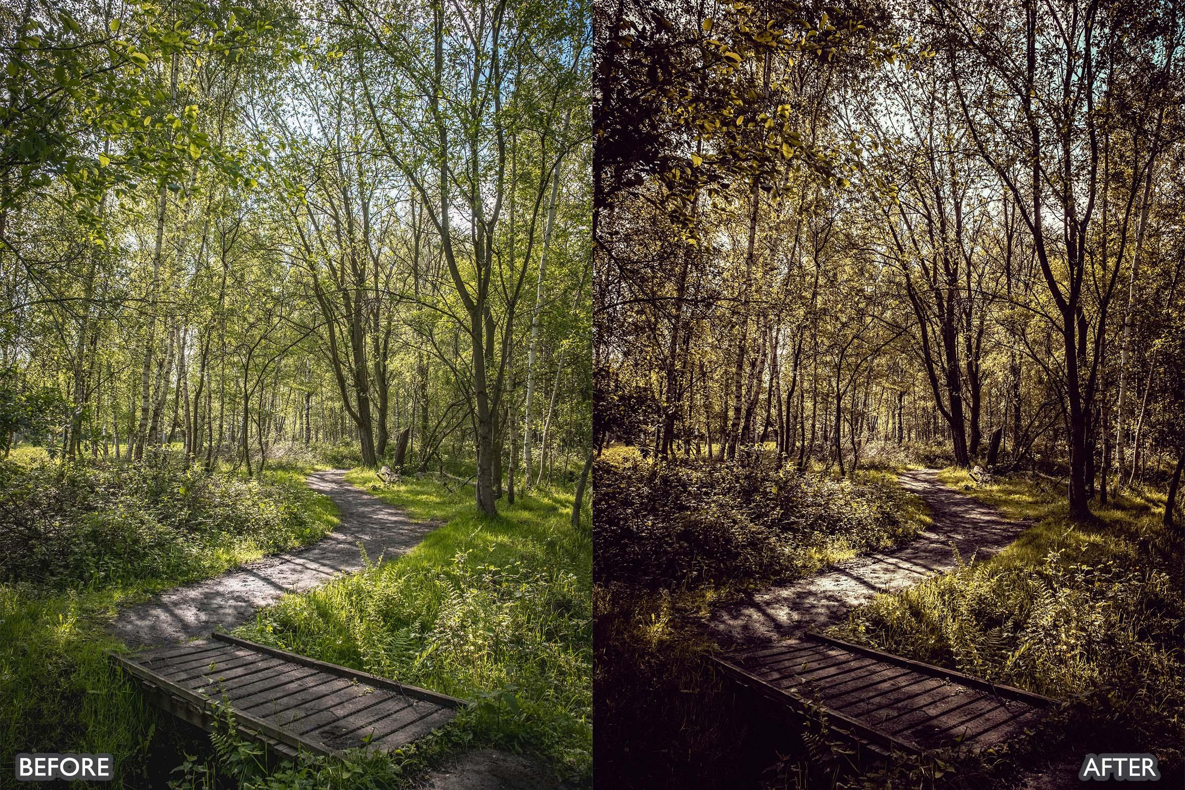 Landscape and Nature Dark Green Lightroom Presets - adobe lightroom presets, Blogger presets, bright presets, Cinematic Presets, HDR presets, instagram presets, landscape presets, lightroom presets, moody presets, Nature presets, presets before and after, professional lightroom presets - aaapresets.com