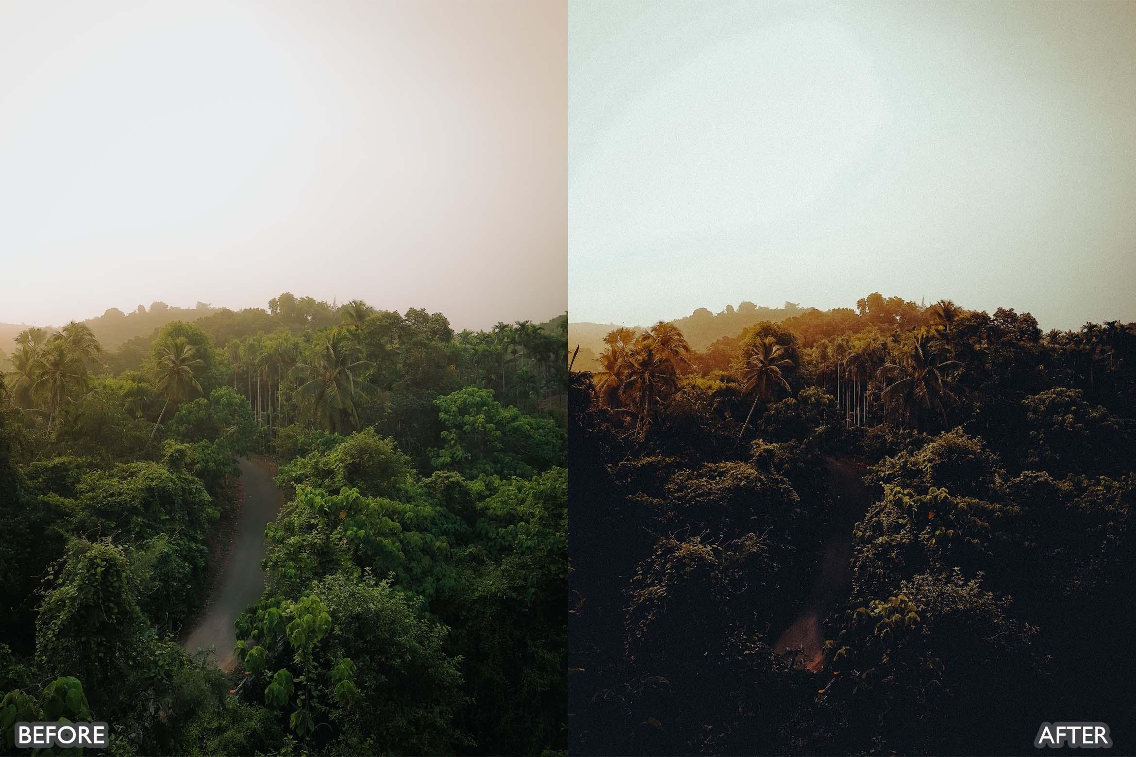 Landscape and Nature Dark Green Lightroom Presets - Lightroom Presets - by AAA Presets