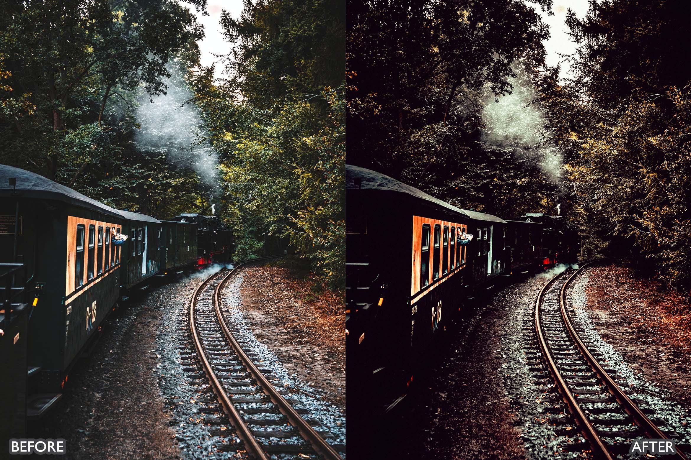 Landscape and Nature Dark Green Lightroom Presets - Lightroom Presets - by AAA Presets