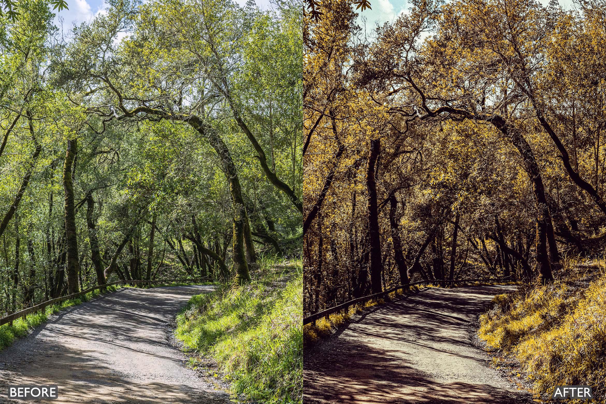 Landscape and Nature Dark Green Lightroom Presets - Lightroom Presets - by AAA Presets