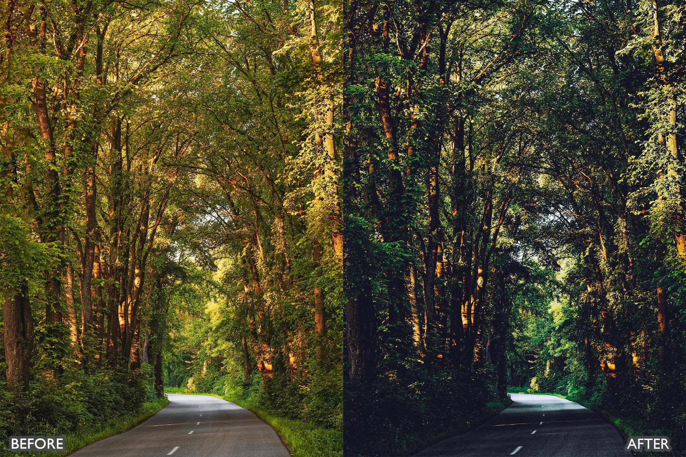 Landscape and Nature Dark Green Lightroom Presets - Lightroom Presets - by AAA Presets