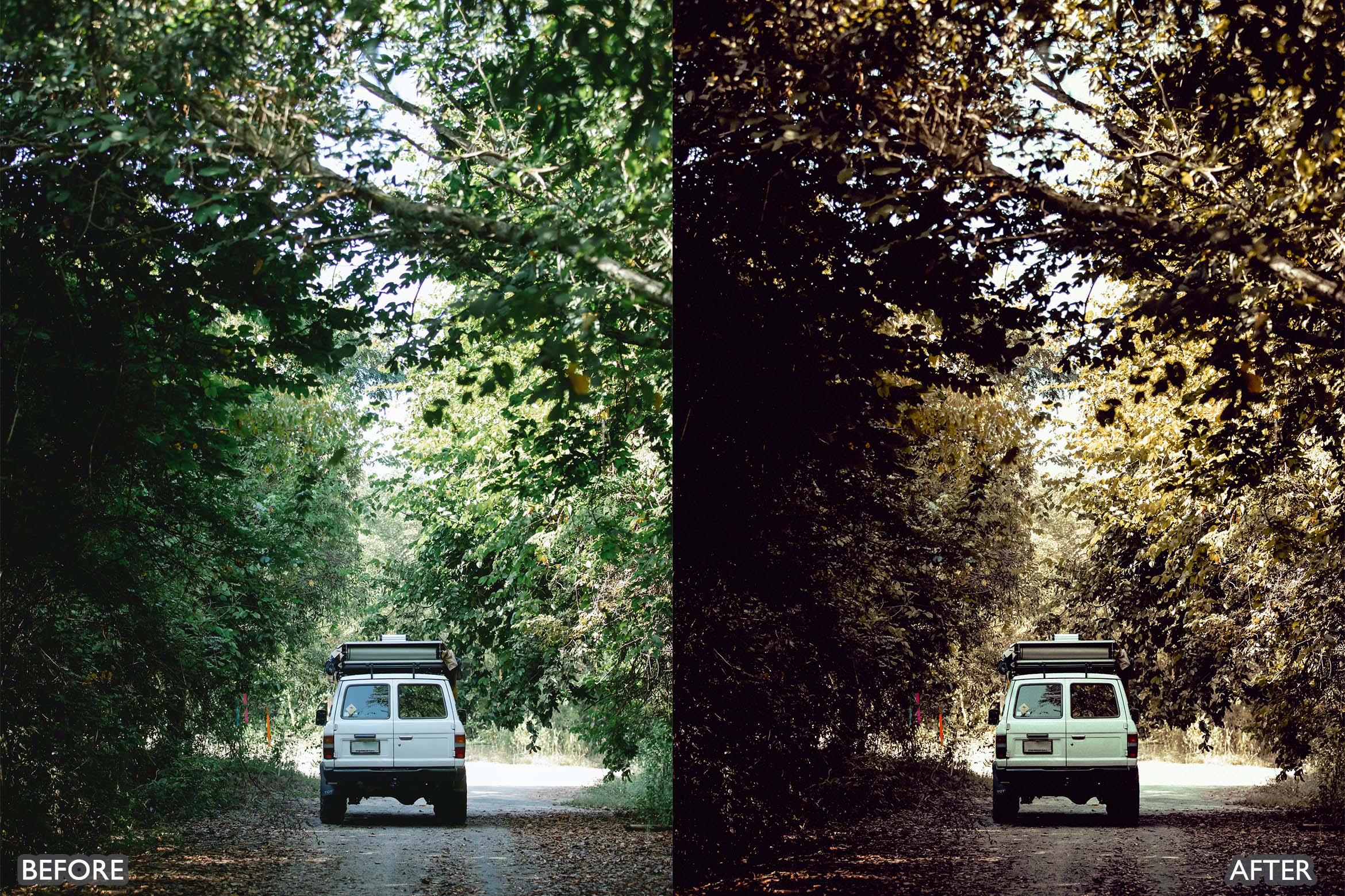 Landscape and Nature Dark Green Lightroom Presets - Lightroom Presets - by AAA Presets