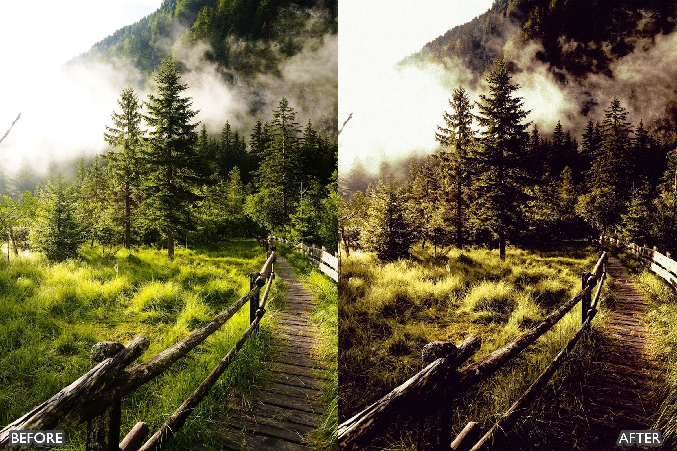 Landscape and Nature Dark Green Lightroom Presets - Lightroom Presets - by AAA Presets