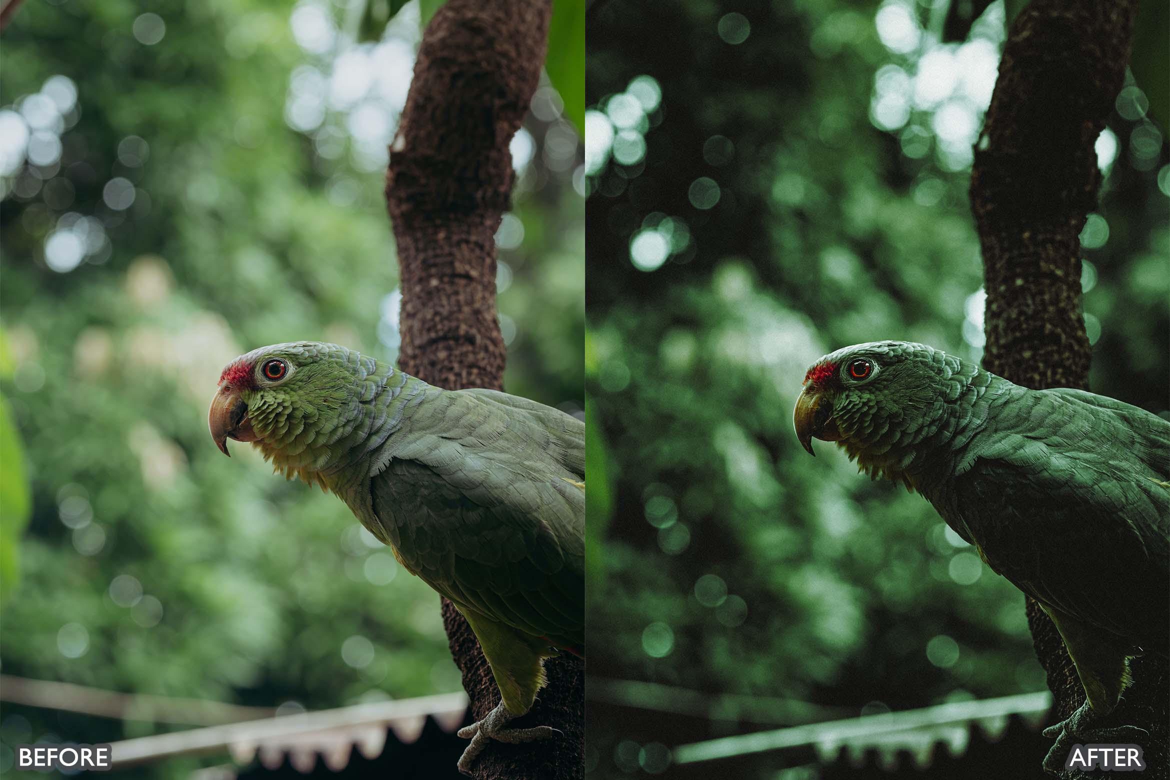 Landscape and Nature Dark Green Lightroom Presets - Lightroom Presets - by AAA Presets