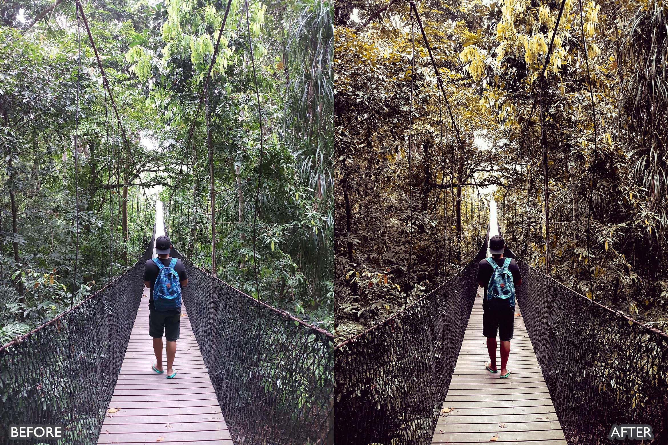 Landscape and Nature Dark Green Lightroom Presets - Lightroom Presets - by AAA Presets