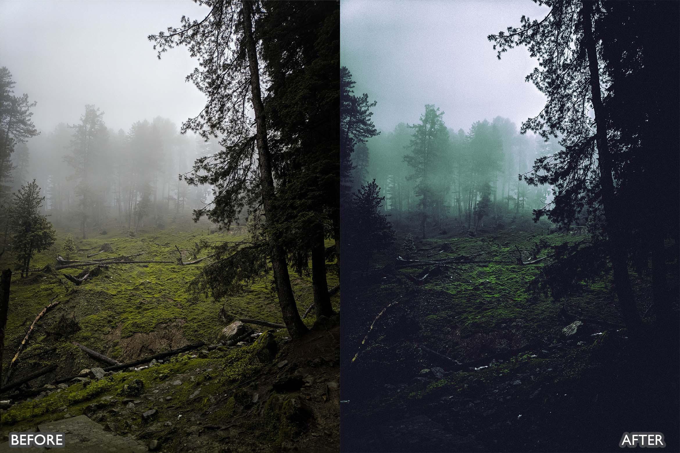 Landscape and Nature Dark Green Lightroom Presets - Lightroom Presets - by AAA Presets
