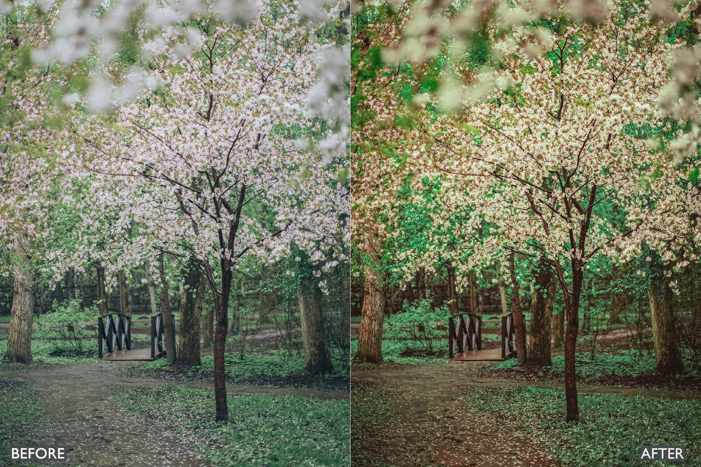 Landscape and Nature Green Lightroom Presets - adobe lightroom presets, Blogger presets, Cinematic Presets, instagram presets, landscape presets, lightroom presets, moody presets, Nature presets, Portrait presets, presets before and after, professional lightroom presets - aaapresets.com