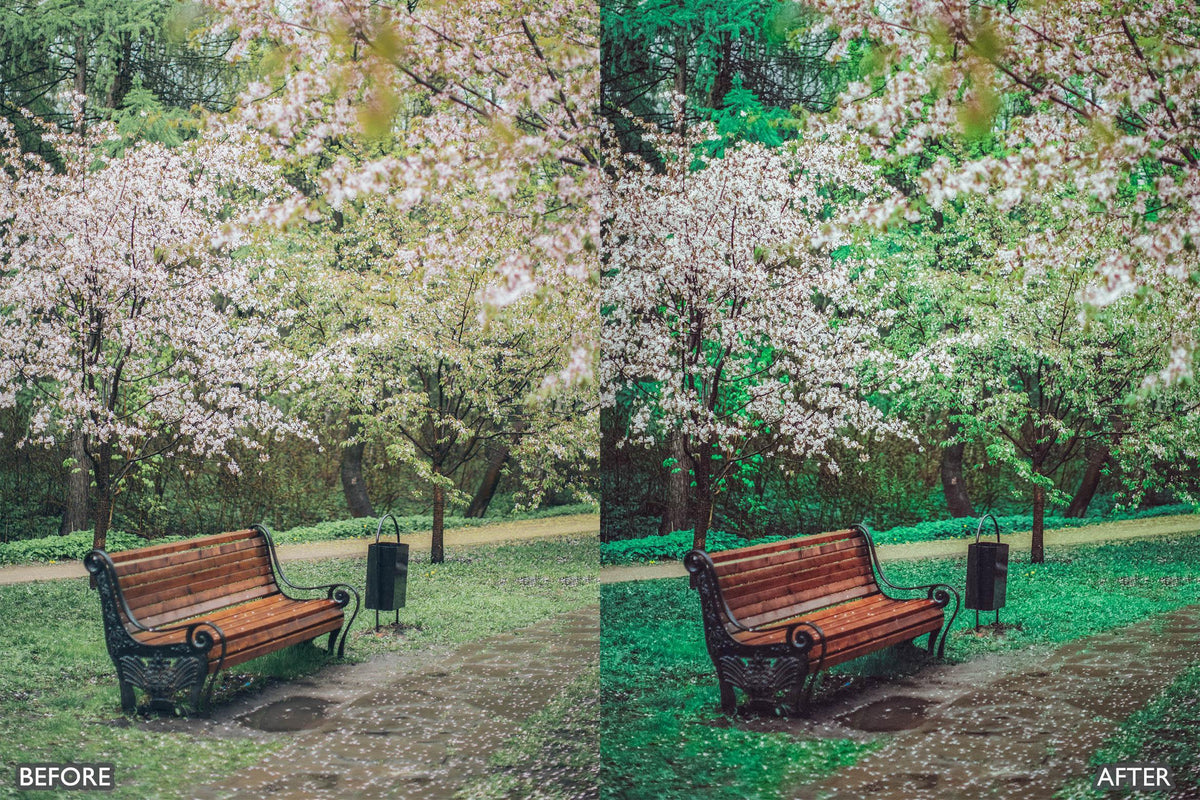 Landscape and Nature Green Lightroom Presets | Premium Lightroom Presets