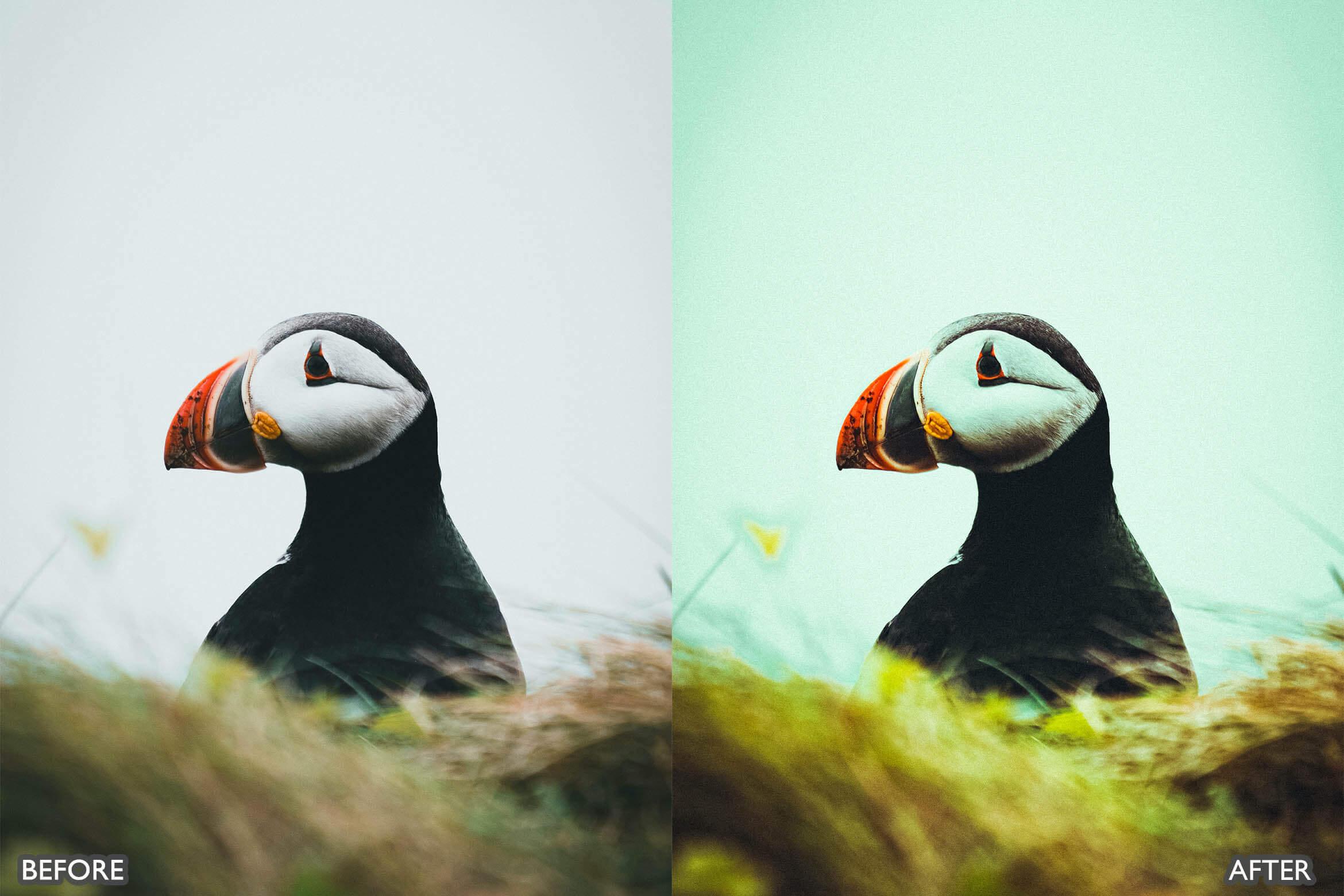 Landscape and Nature Photography Lightroom Presets - Lightroom Presets - by AAA Presets