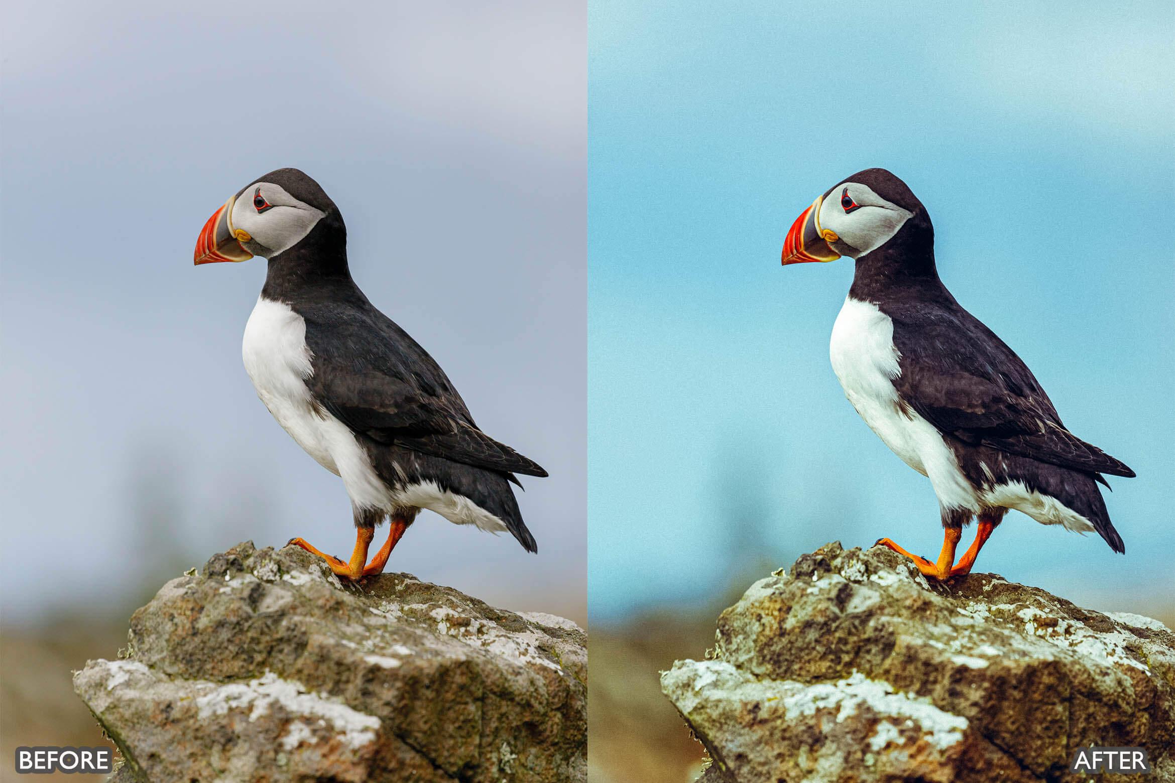 Landscape and Nature Photography Lightroom Presets - Lightroom Presets - by AAA Presets