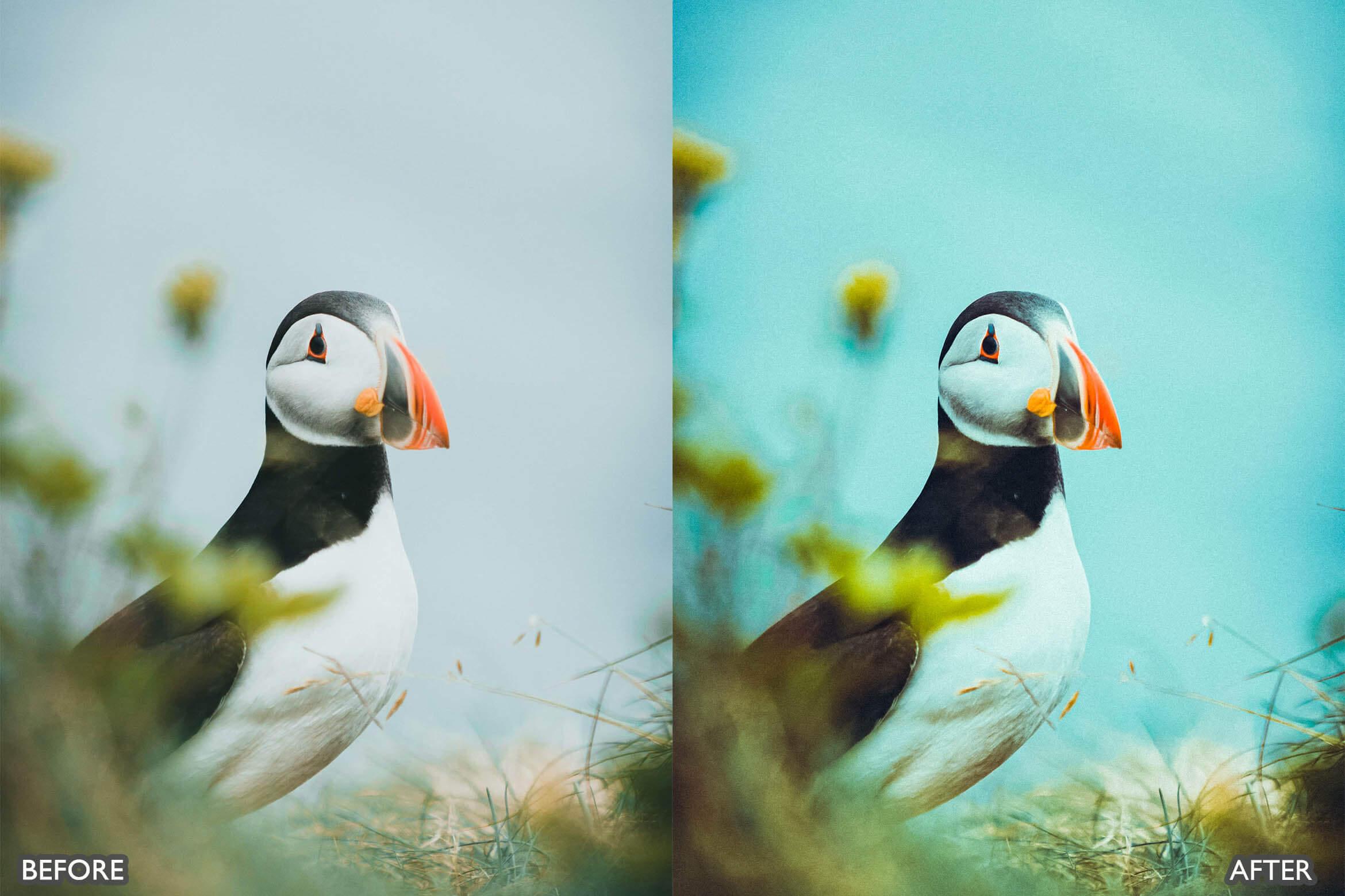 Landscape and Nature Photography Lightroom Presets - Lightroom Presets - by AAA Presets