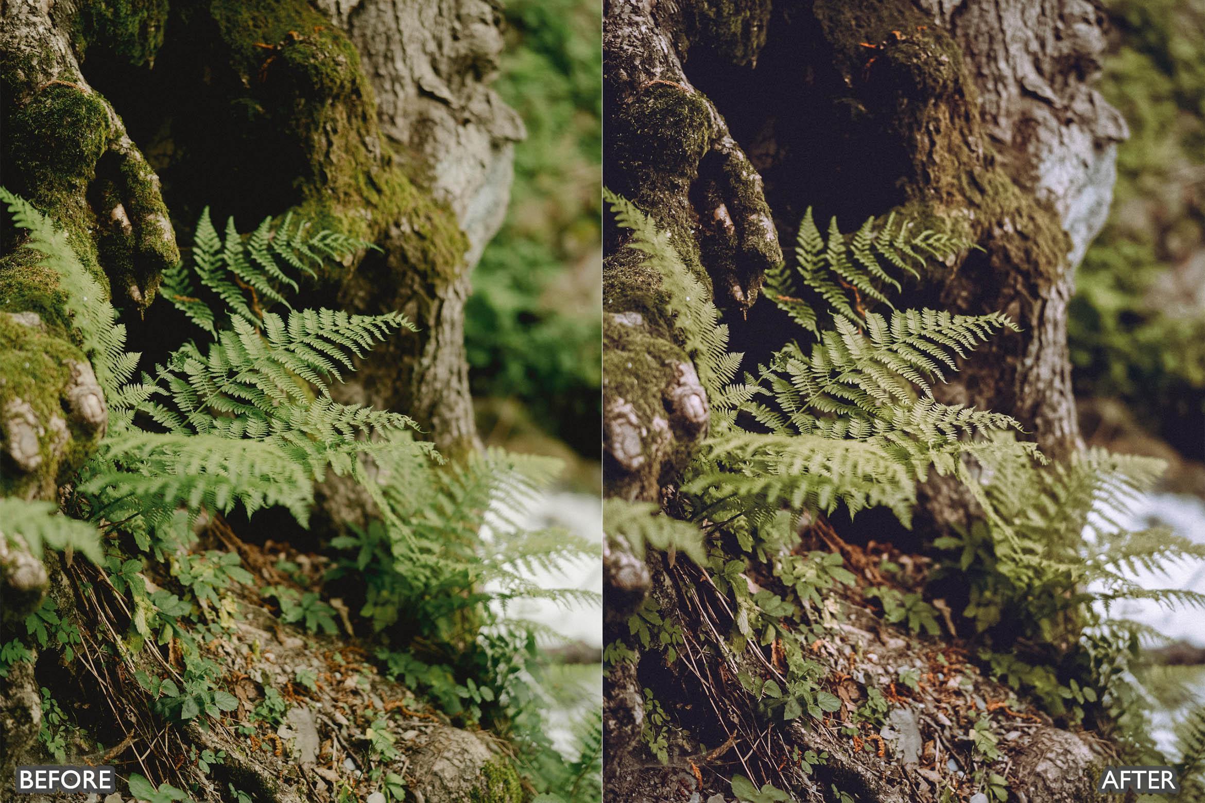 Lightroom Presets for Landscapes & Travel - Lightroom Presets - by AAA Presets