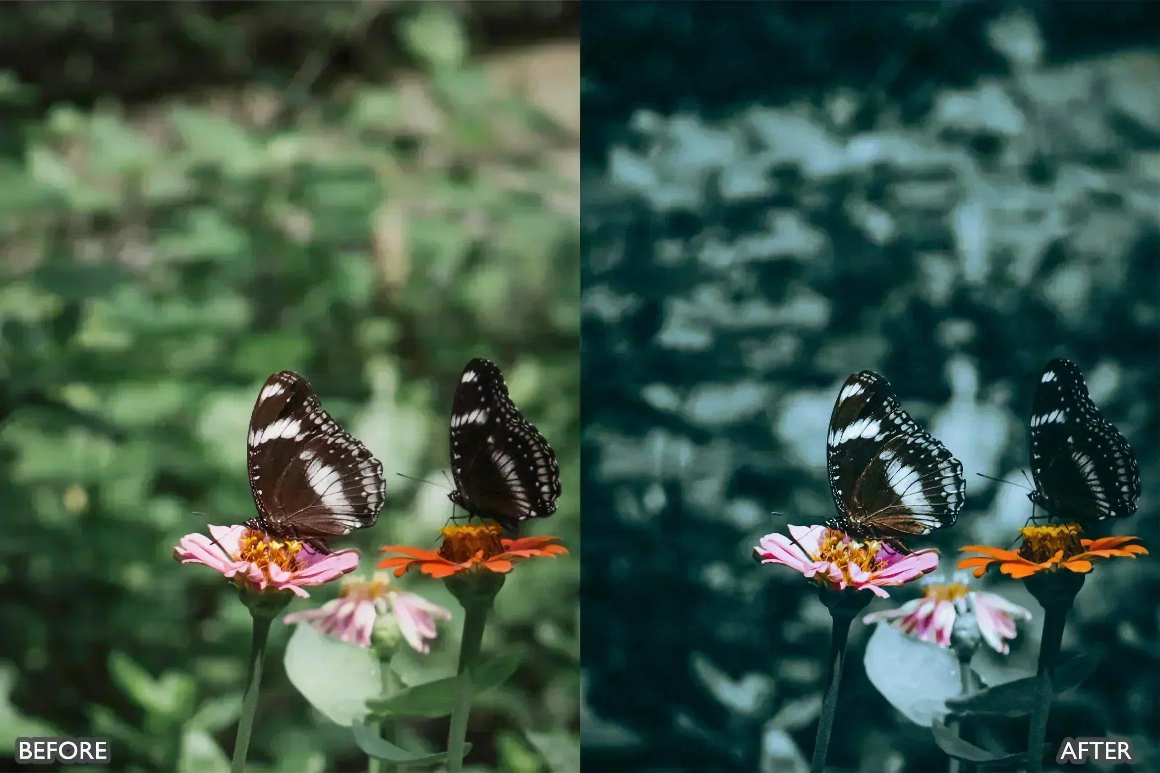 Lightroom Presets For Macro Photos - Lightroom Presets - by AAA Presets