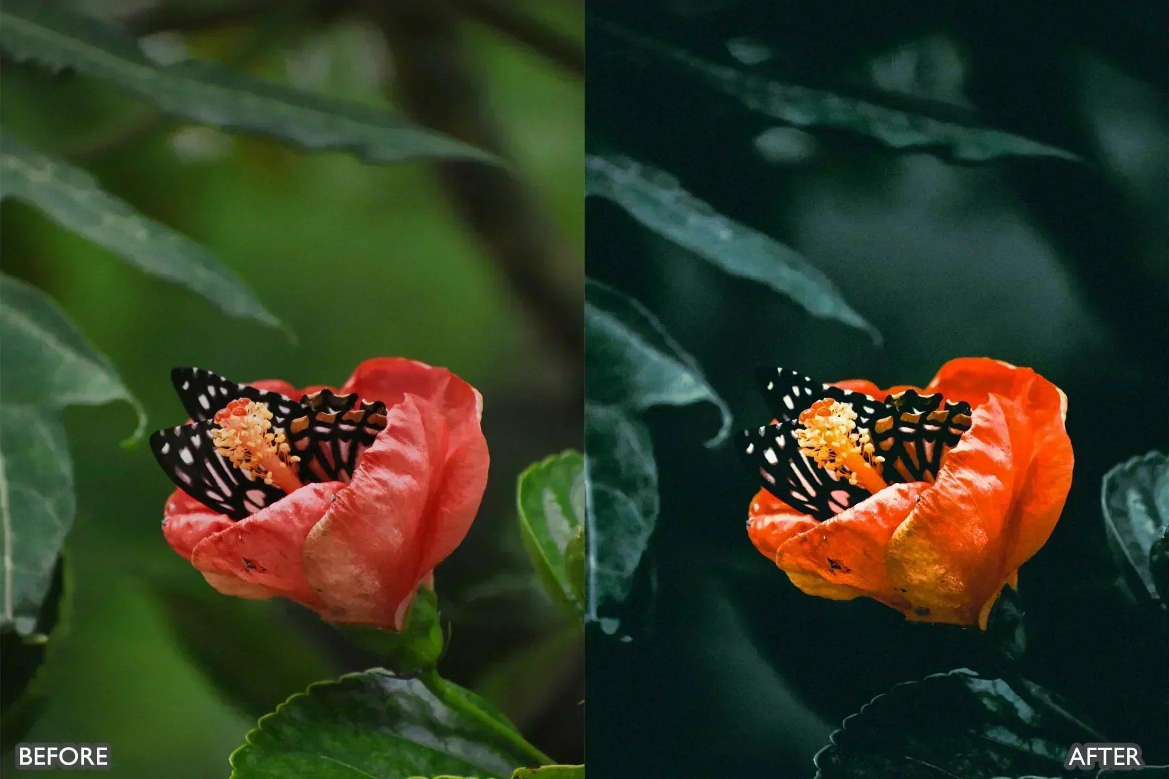 Lightroom Presets For Macro Photos - Lightroom Presets - by AAA Presets