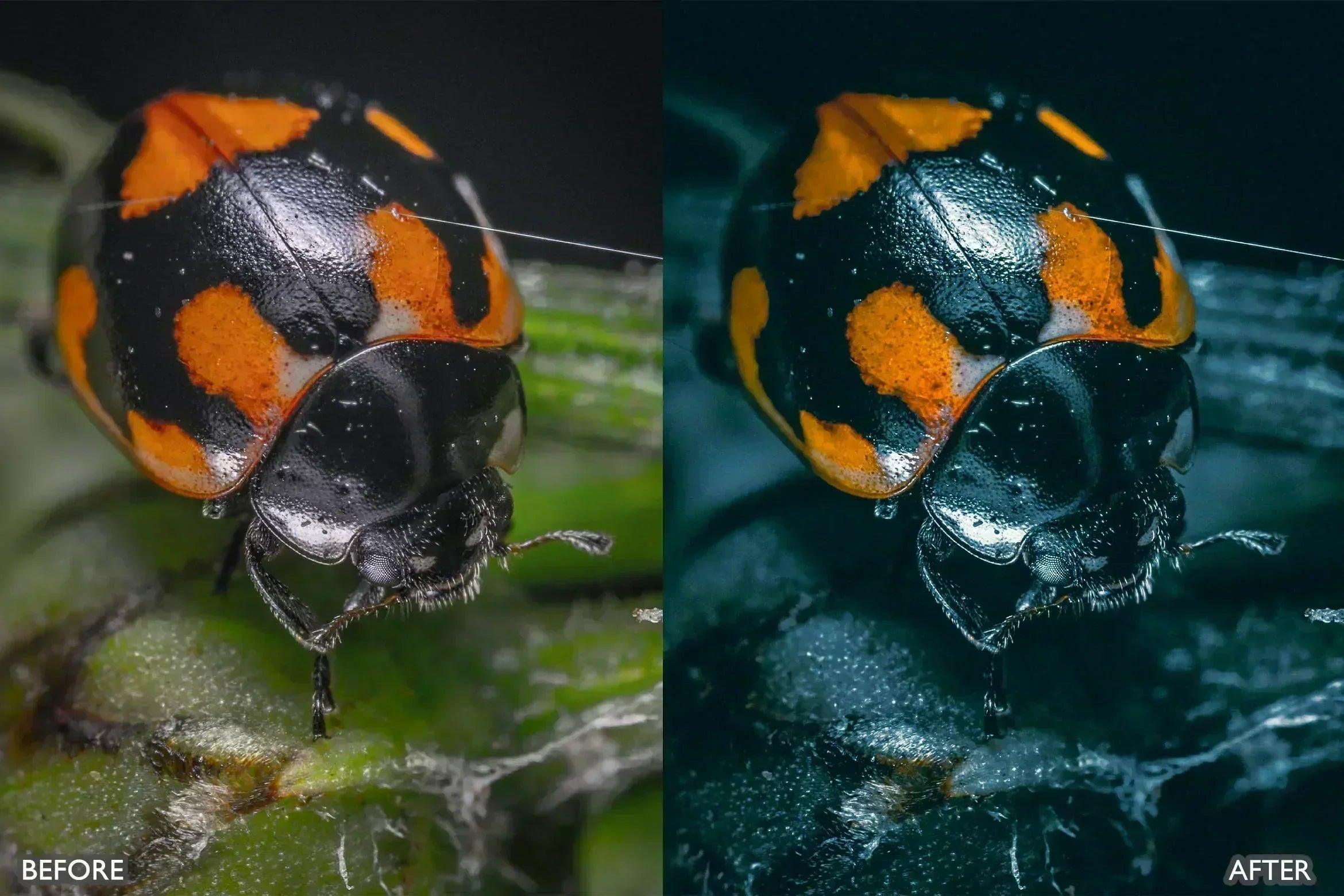 Lightroom Presets For Macro Photos - Lightroom Presets - by AAA Presets