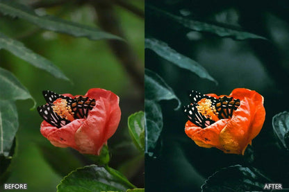 Lightroom Presets For Macro Photos - adobe lightroom presets, instagram presets, lightroom presets, Macro presets, presets before and after, professional lightroom presets - aaapresets.com