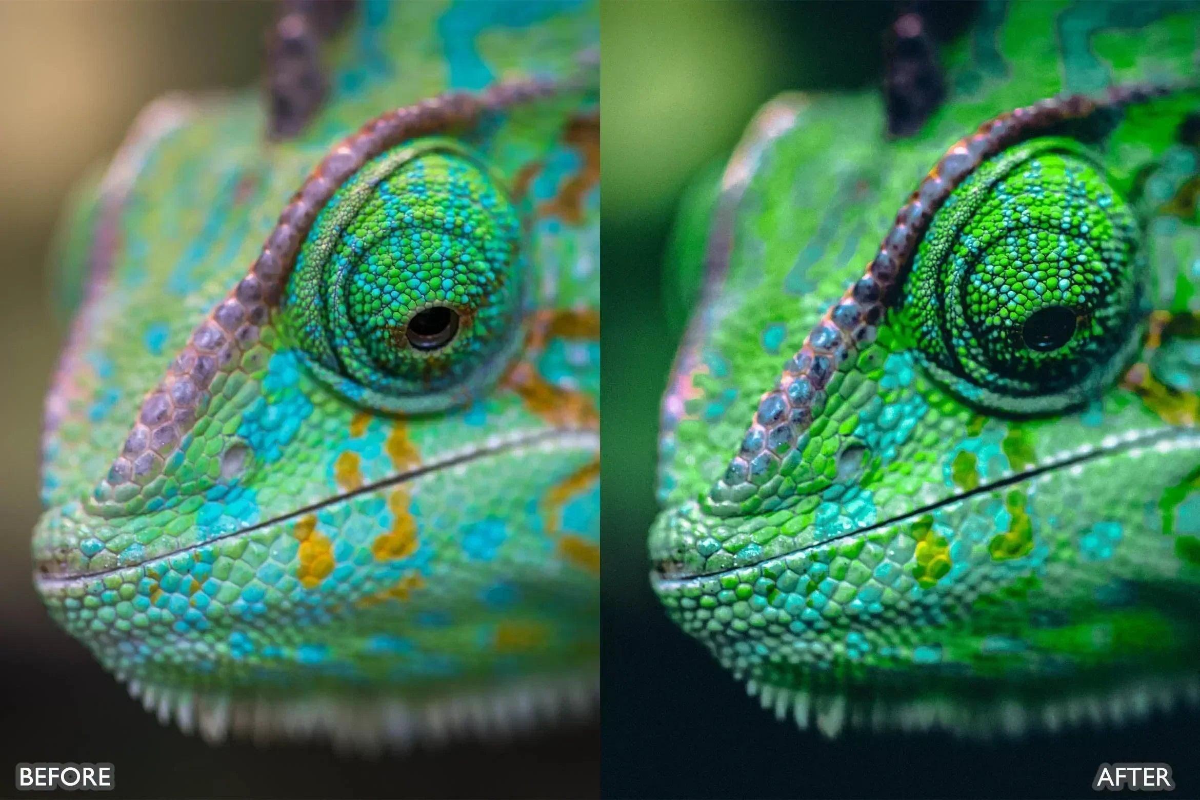 Lightroom Presets For Macro Photos - Lightroom Presets - by AAA Presets