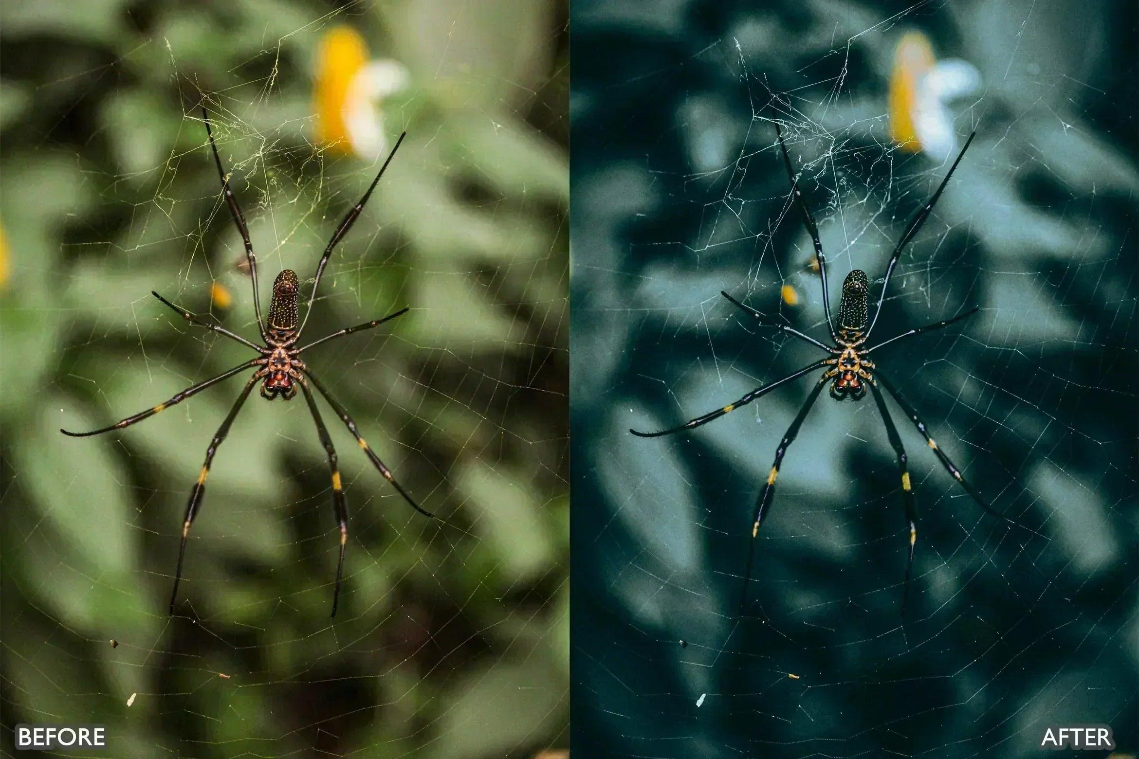 Lightroom Presets For Macro Photos - Lightroom Presets - by AAA Presets