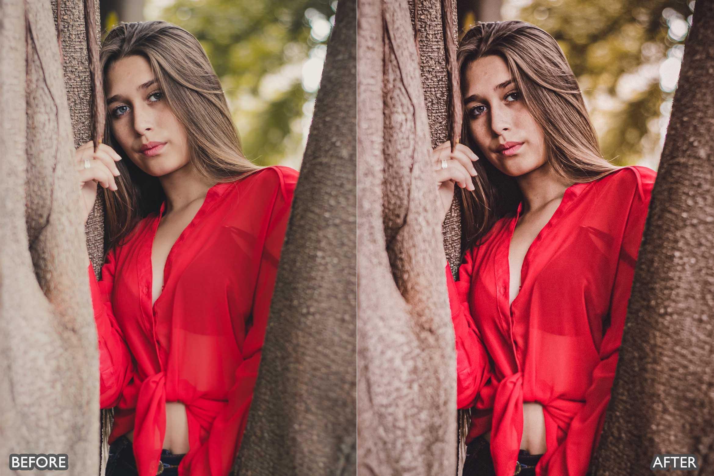 Lightroom Presets for Portraits HDR - Lightroom Presets - by AAA Presets
