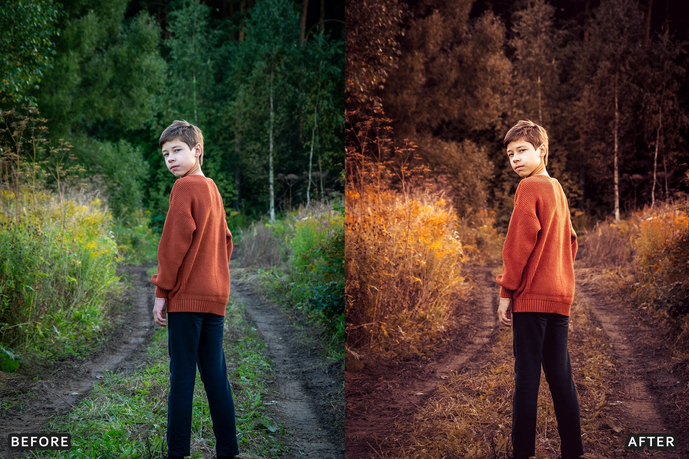 AI-Optimized Matte Autumn Film Lightroom Presets - Lightroom Presets - by AAA Presets
