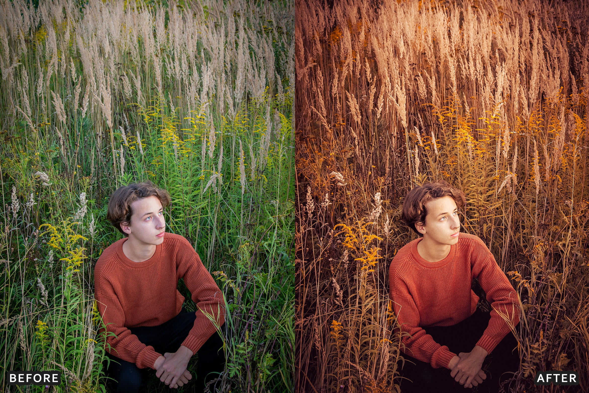 AI-Optimized Matte Autumn Film Lightroom Presets - Lightroom Presets - by AAA Presets