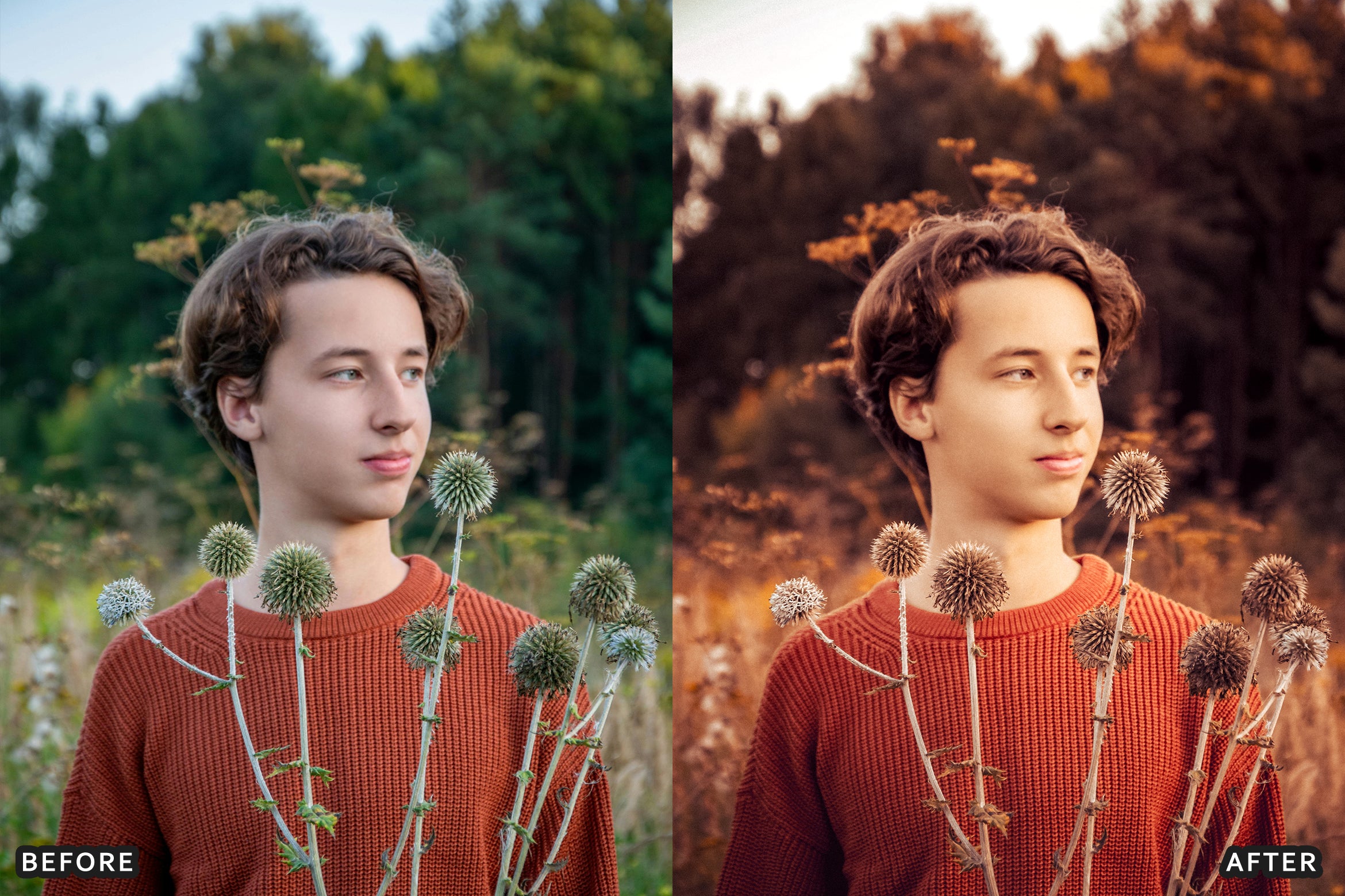 AI-Optimized Matte Autumn Film Lightroom Presets - Lightroom Presets - by AAA Presets