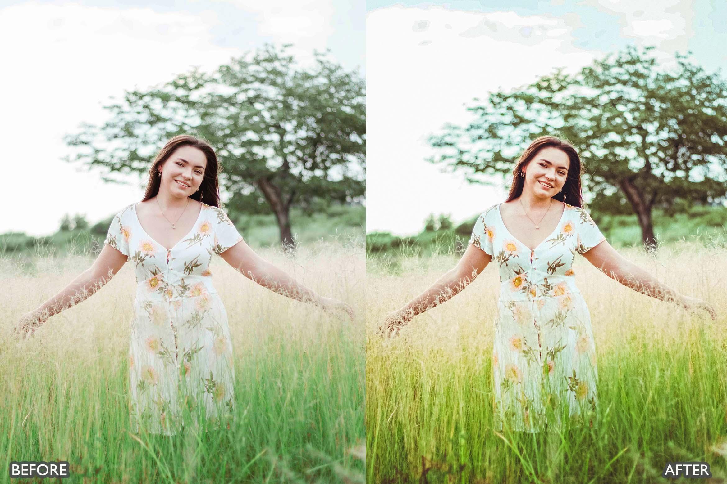 Minimal Brown Lightroom Presets - Lightroom Presets - by AAA Presets