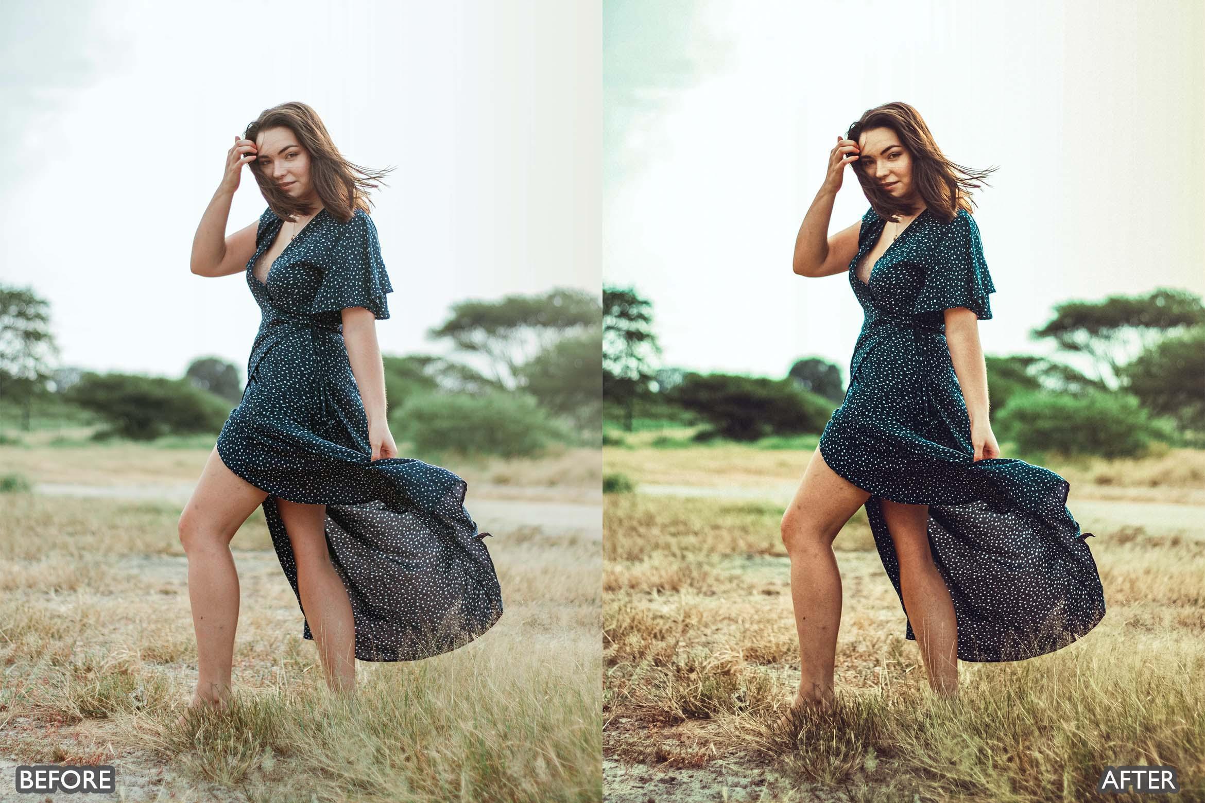 Minimal Brown Lightroom Presets - Lightroom Presets - by AAA Presets