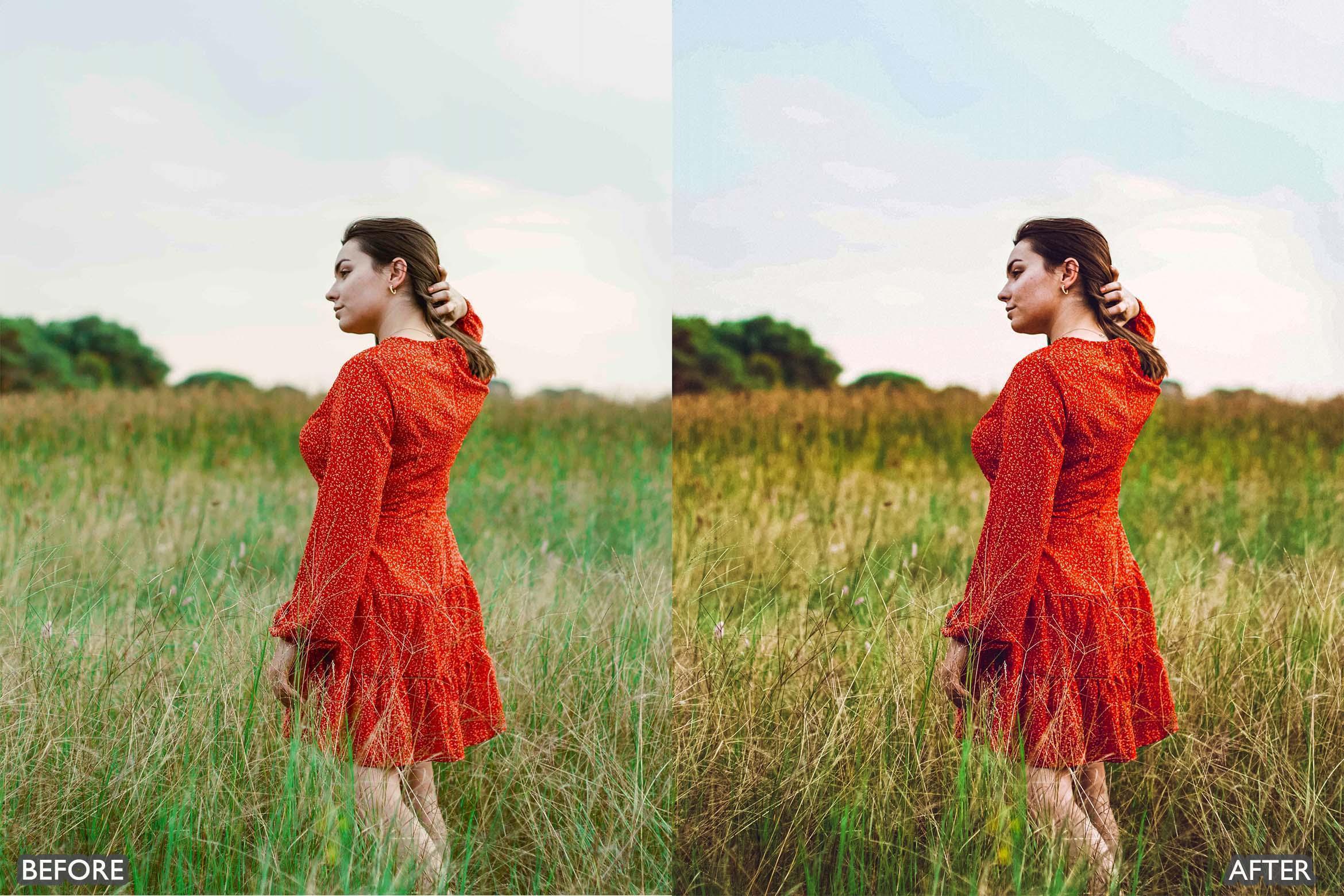 Minimal Brown Lightroom Presets - Lightroom Presets - by AAA Presets