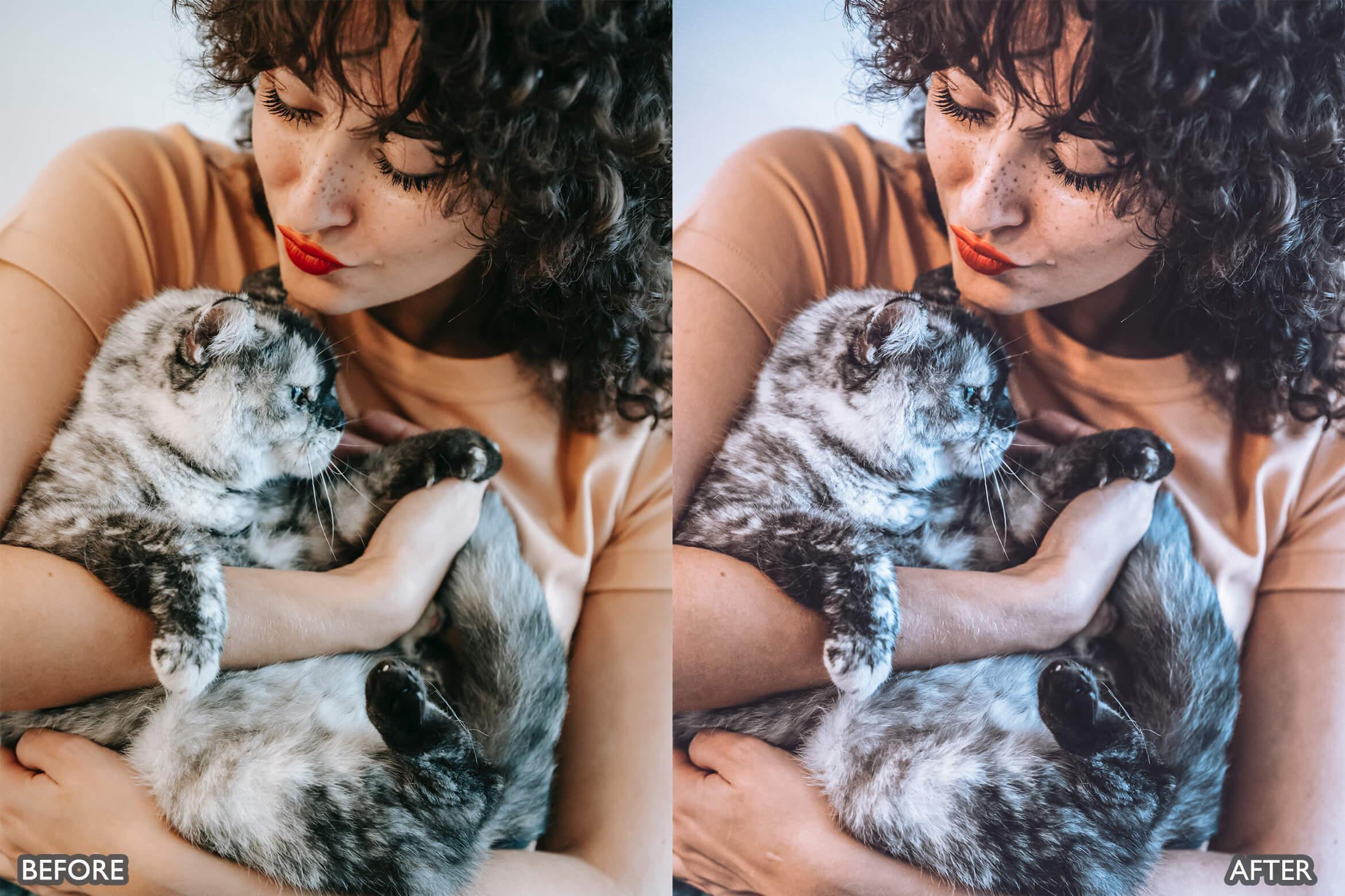 Minimal Presets For Lightroom - Lightroom Presets - by AAA Presets