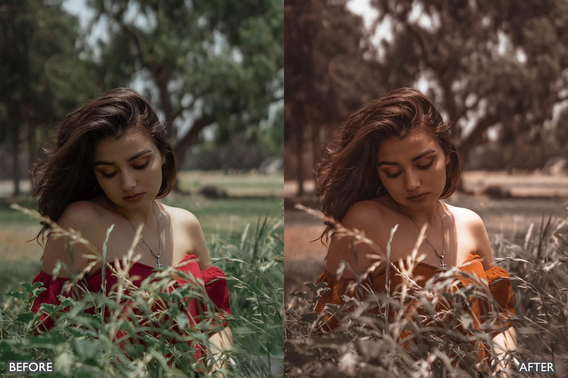 Moody Brown Lightroom Presets - Lightroom Presets - by AAA Presets