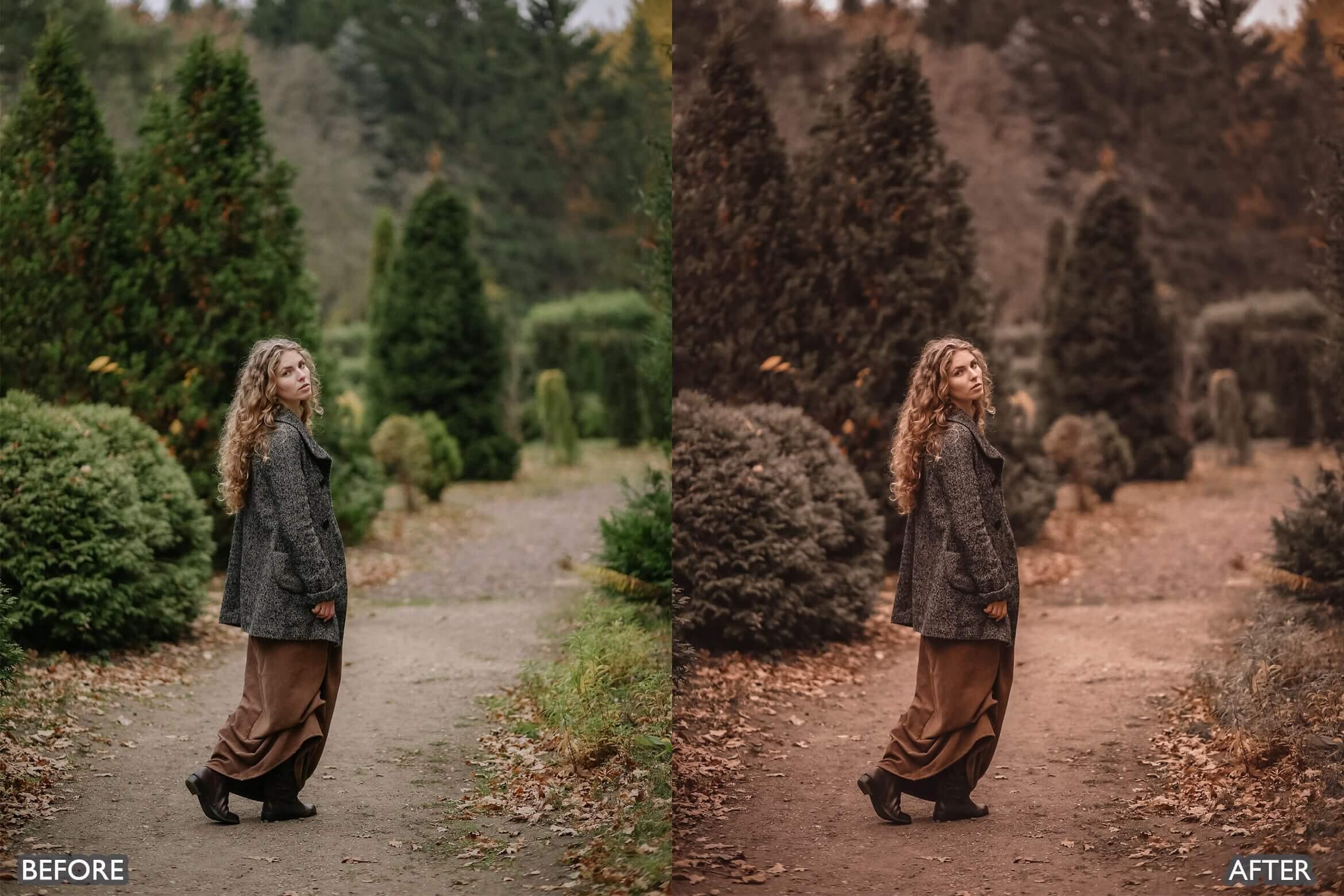 Moody Brown Lightroom Presets - Lightroom Presets - by AAA Presets