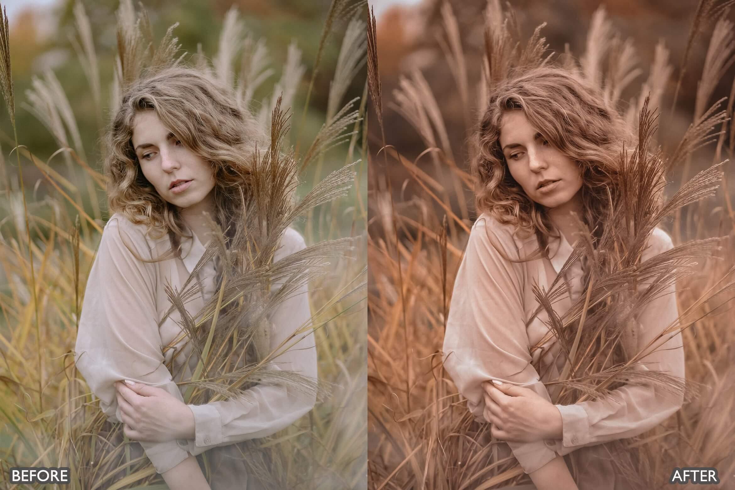 Moody Brown Lightroom Presets - Lightroom Presets - by AAA Presets