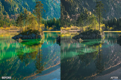 Moody Dark Green Lightroom Presets - adobe lightroom presets, Blogger presets, Cinematic Presets, instagram presets, lightroom presets, Moody Green presets, moody presets, Portrait presets, presets before and after, professional lightroom presets - aaapresets.com