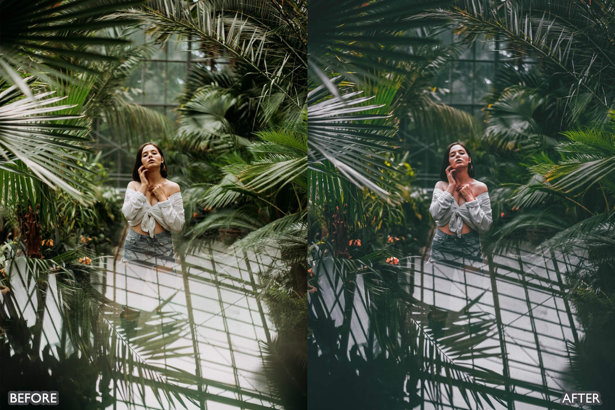 Moody Dark Green Lightroom Presets - Lightroom Presets - by AAA Presets