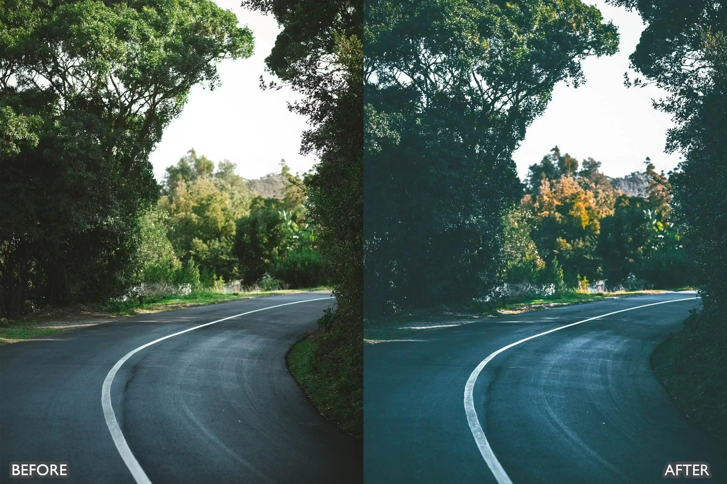 Moody Dark Green Lightroom Presets - Lightroom Presets - by AAA Presets