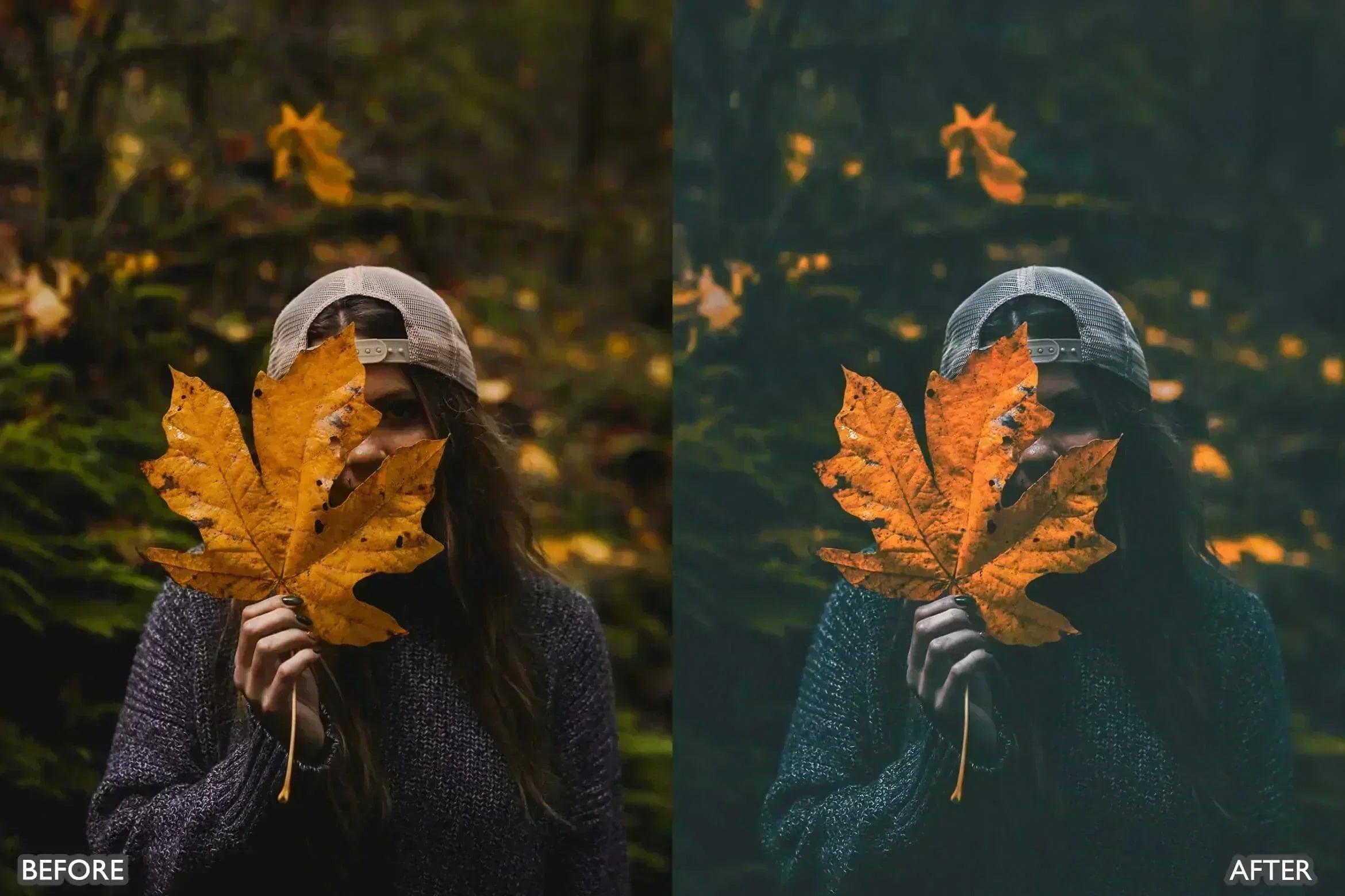 Moody Dark Green Lightroom Presets - Lightroom Presets - by AAA Presets