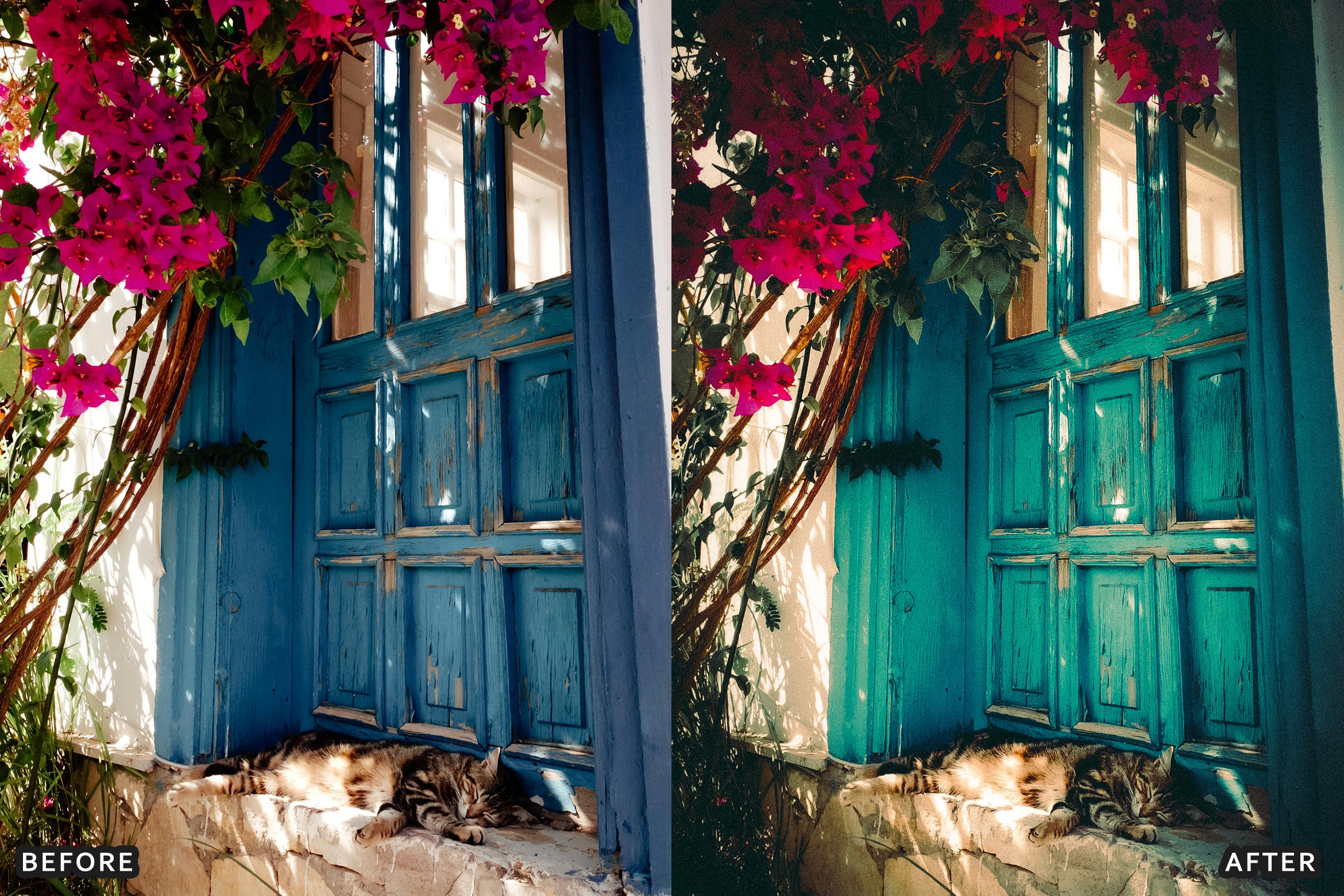 AI-Optimized Warm Vintage Film Tone Lightroom Presets - Lightroom Presets - by AAA Presets