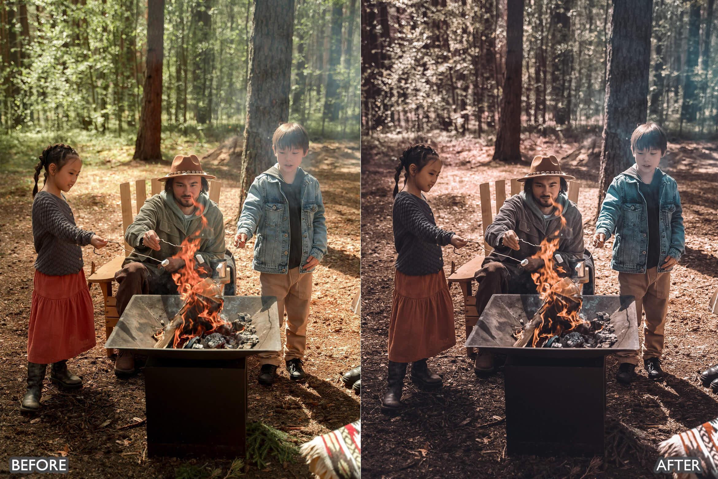 Nature Warm Brown Lightroom Presets - Lightroom Presets - by AAA Presets