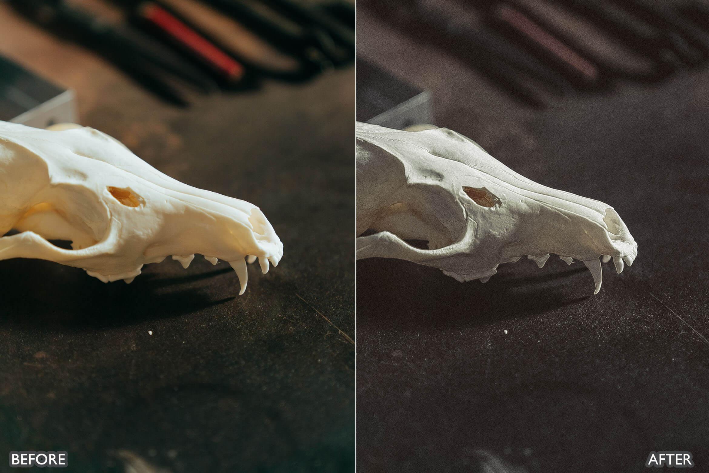 Old Vintage Lightroom Presets - Lightroom Presets - by AAA Presets