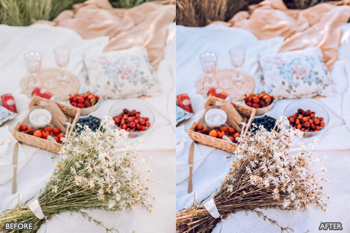 Picnic Outdoor Lightroom Presets - adobe lightroom presets, Blogger presets, Cinematic Presets, cream presets, instagram presets, lightroom presets, Portrait presets, presets before and after, professional lightroom presets, summer presets, Warm Golden presets - aaapresets.com