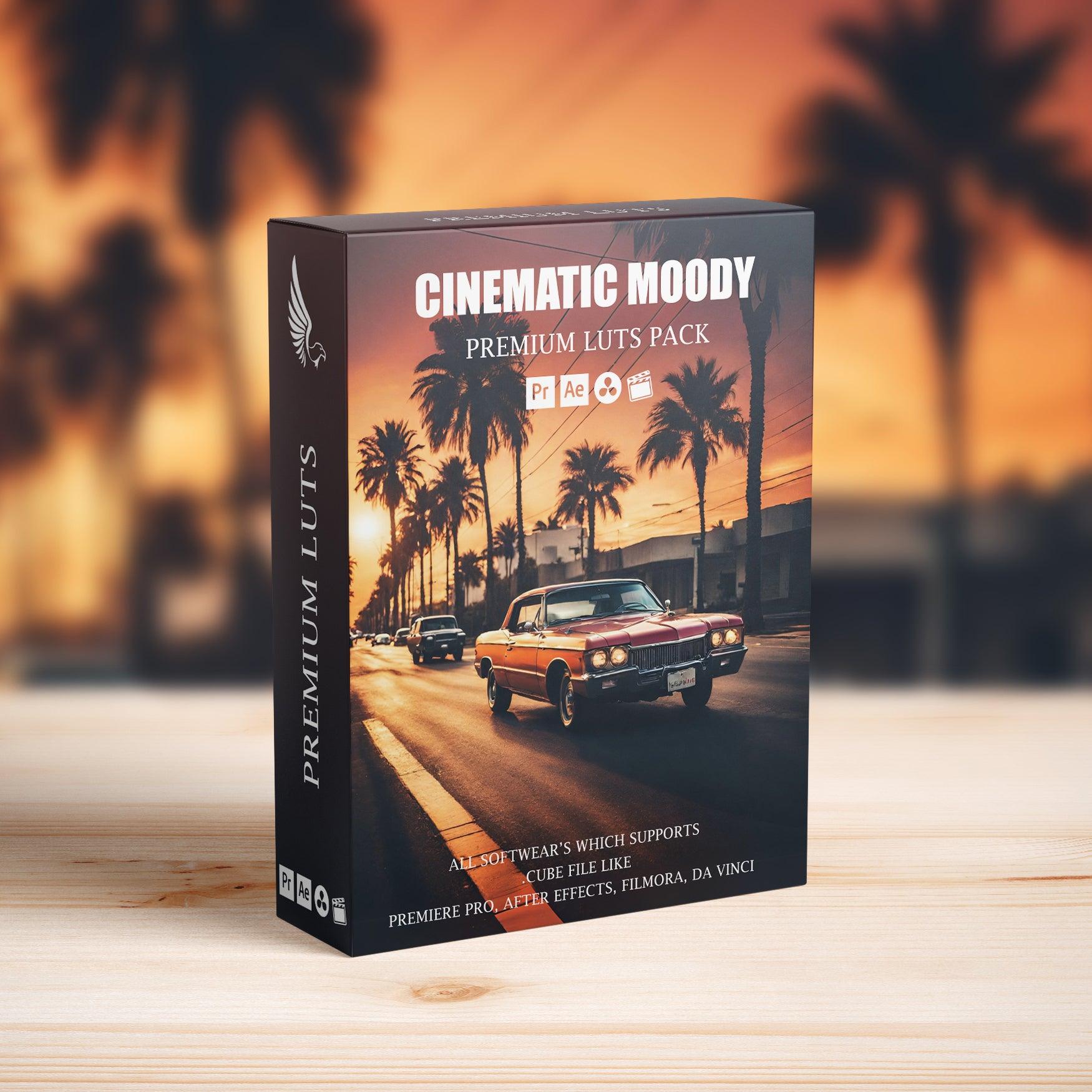 Premium Hollywood-Inspired Street Cinematic LUTs - Video LUTs - by AAA Presets