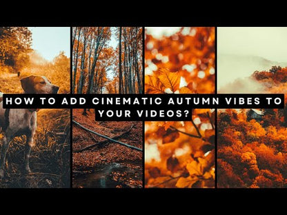 Cinematic Fall Autumn Premium LUT For Your Videos