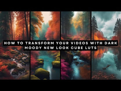 Cinematic Landscape Dark and Moody Video LUTs