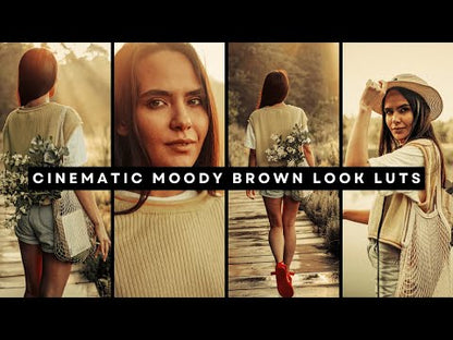 Cinematic Moody Brown Video Color Grading LUTs