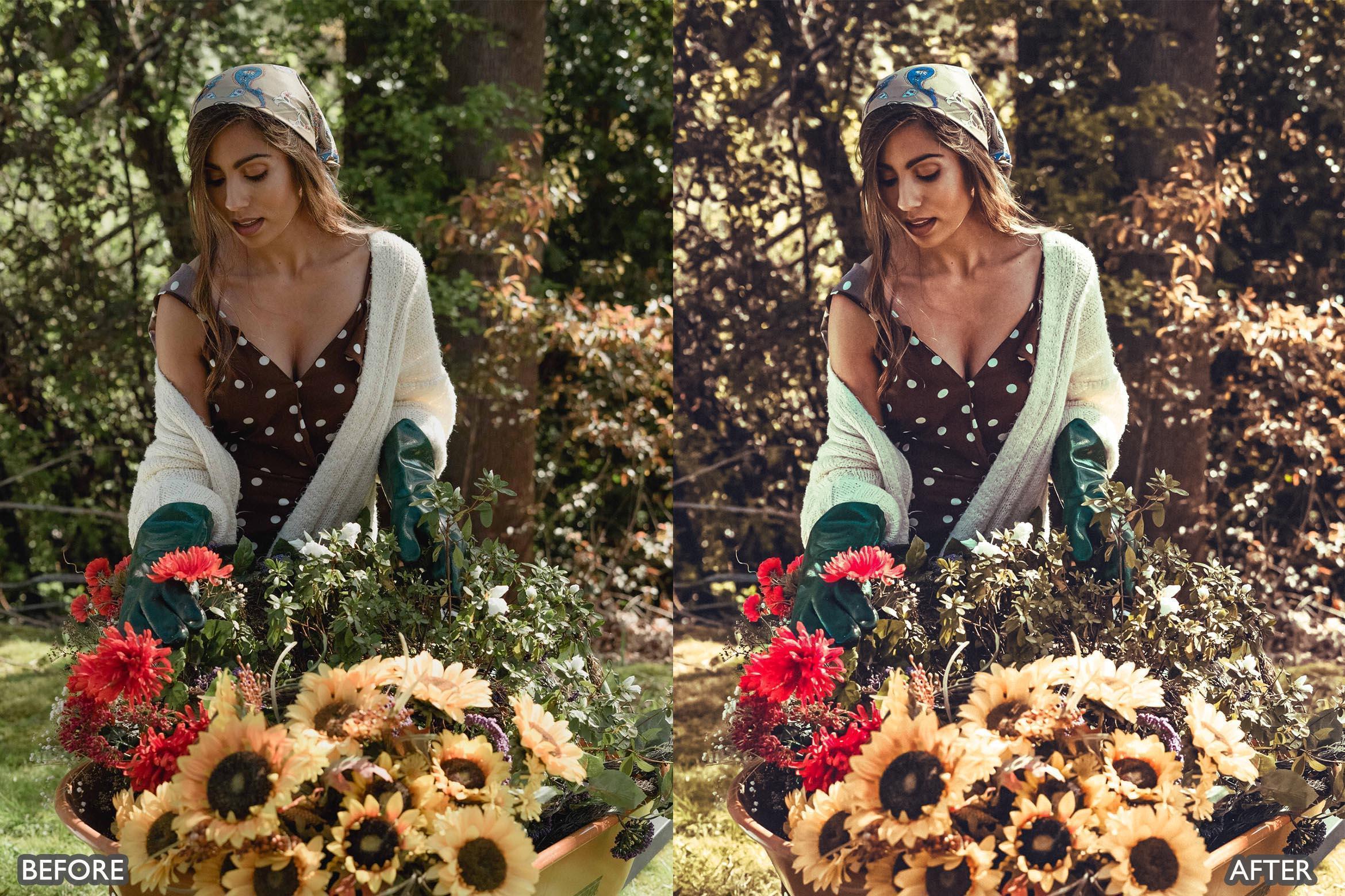 Rustic Nature Look Lightroom Presets - Lightroom Presets - by AAA Presets