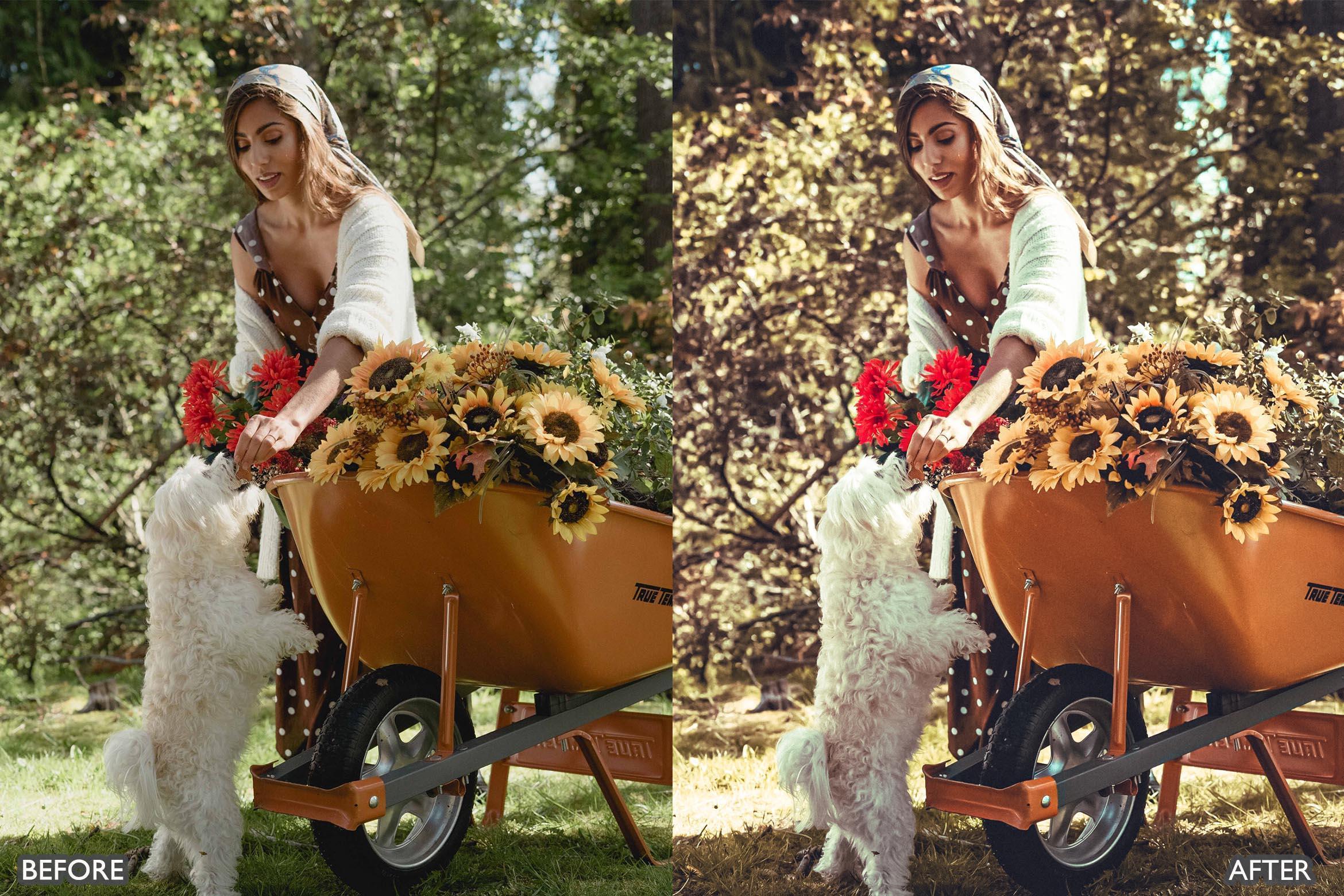 Rustic Nature Look Lightroom Presets - Lightroom Presets - by AAA Presets