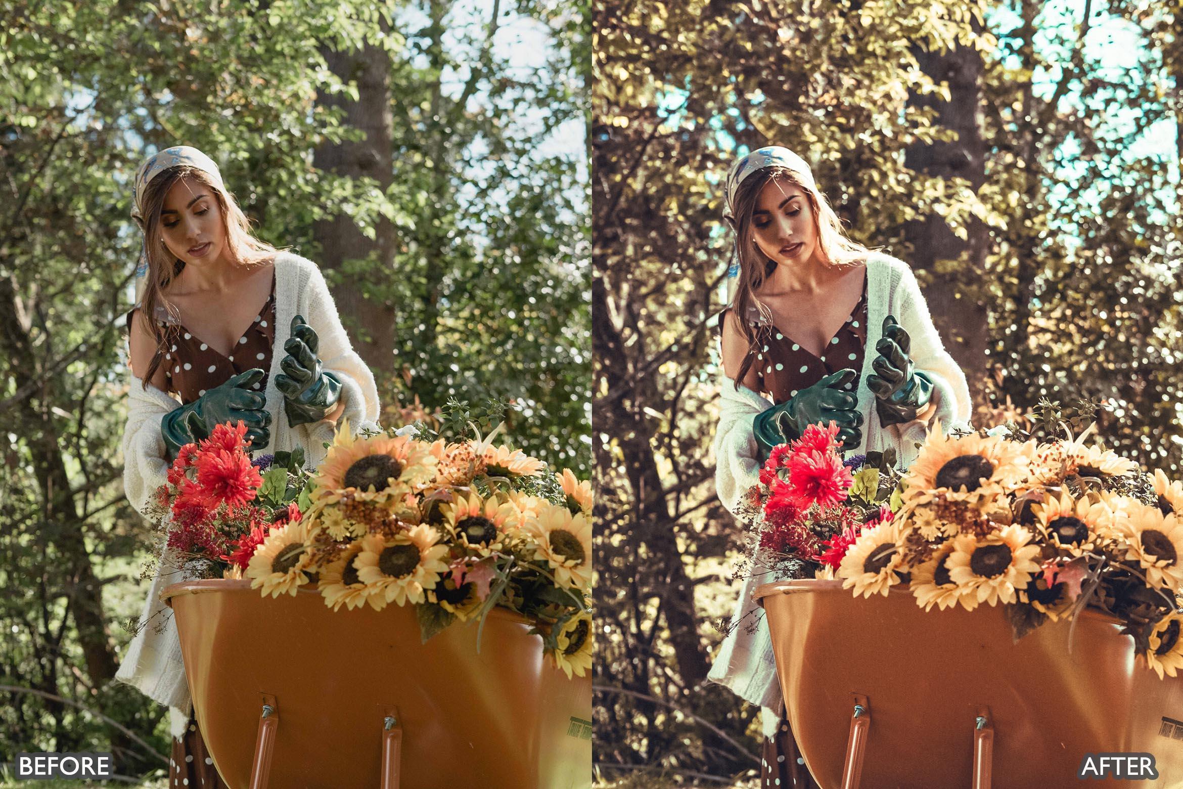 Rustic Nature Look Lightroom Presets - Lightroom Presets - by AAA Presets