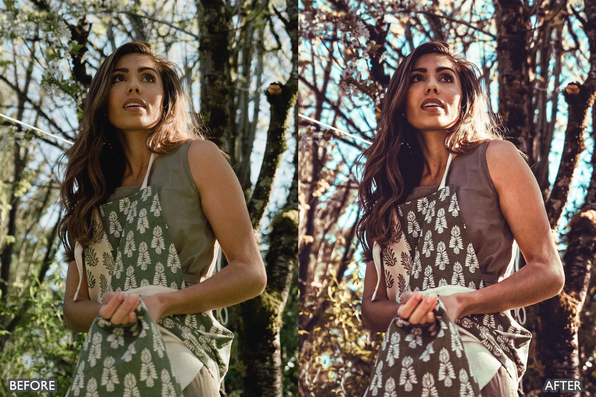 Rustic Nature Look Lightroom Presets - Lightroom Presets - by AAA Presets